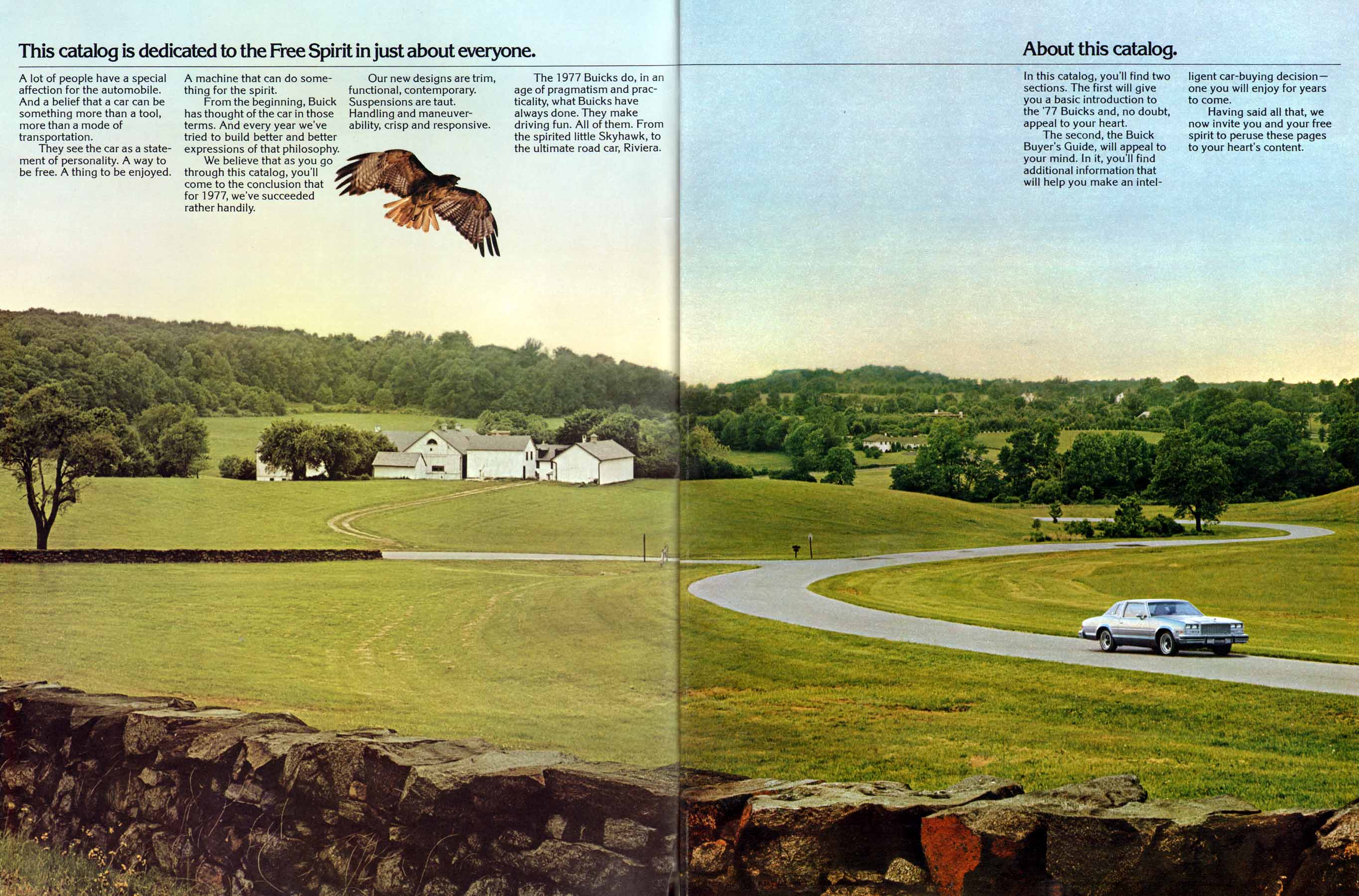 1977 Buick Full Line-02-03