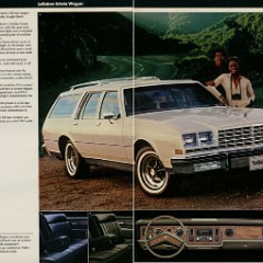 1981 Buick Full Line-18-19