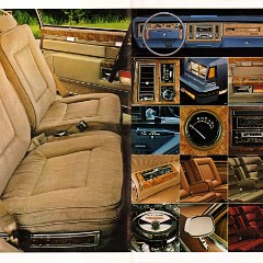 1981 Buick Full Line Prestige-14-15