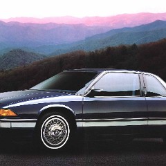 1990 Buick Full Line Prestige.pdf-2023-12-21 16.21.44_Page_25
