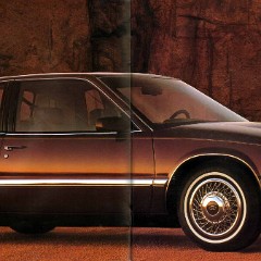 1991 Buick Full Line Prestige-14-15
