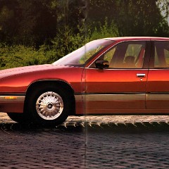 1992 Buick Full Line Prestige-18-19