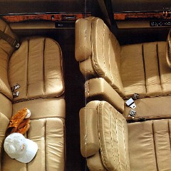 1995 Buick Full Line Prestige-42-43