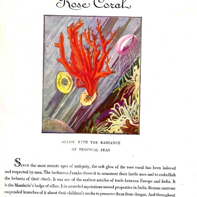 1927_Cadillac_and_LaSalle-20