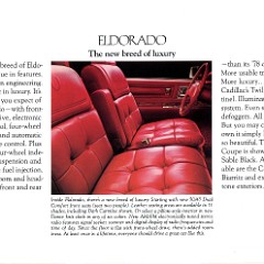 1979_Cadillac-a11