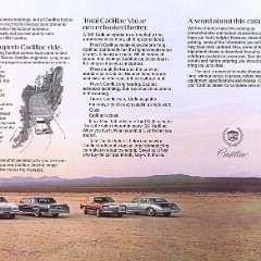 1981_Cadillac-07
