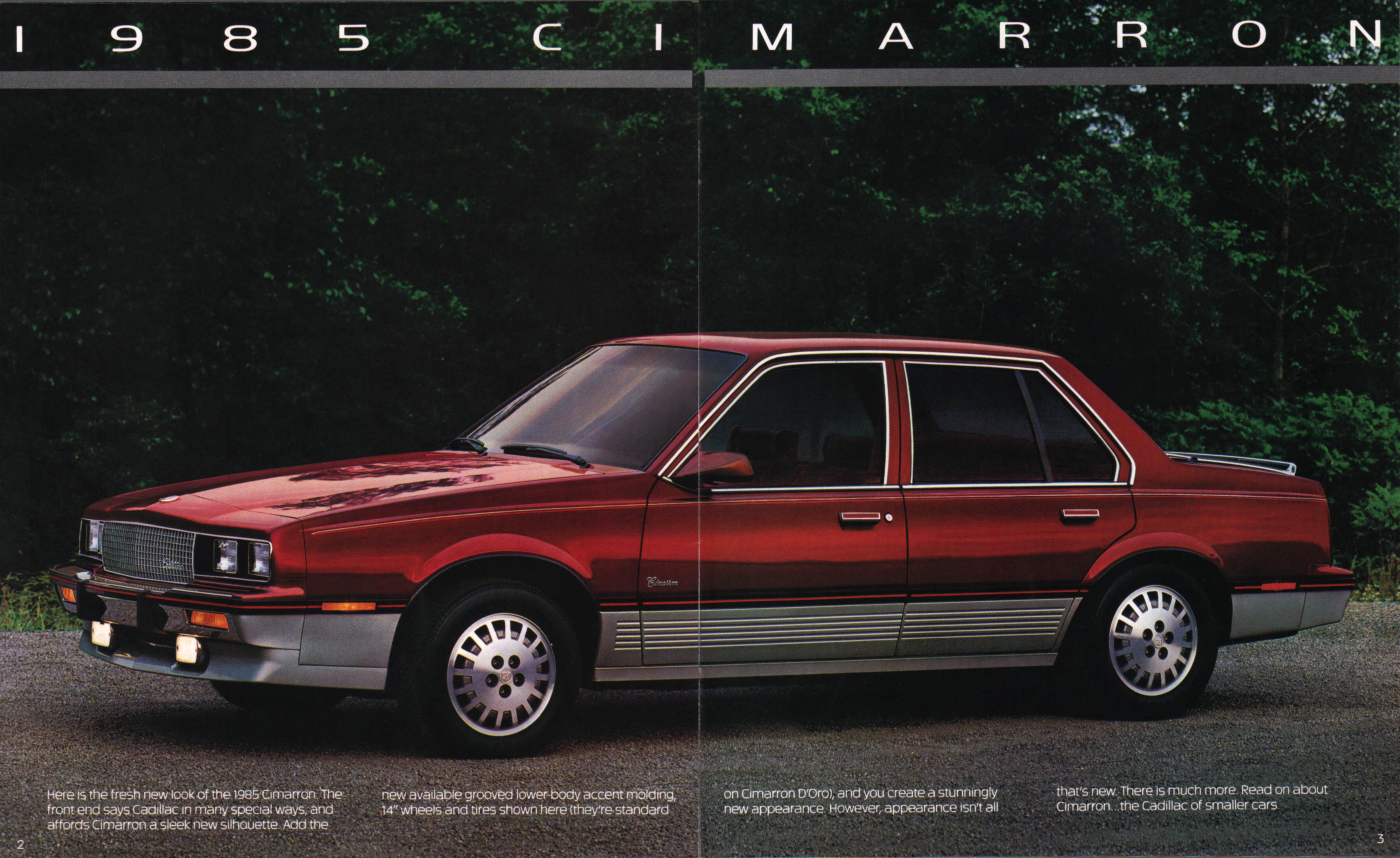 1985_Cadillac_Cimarron-02-03