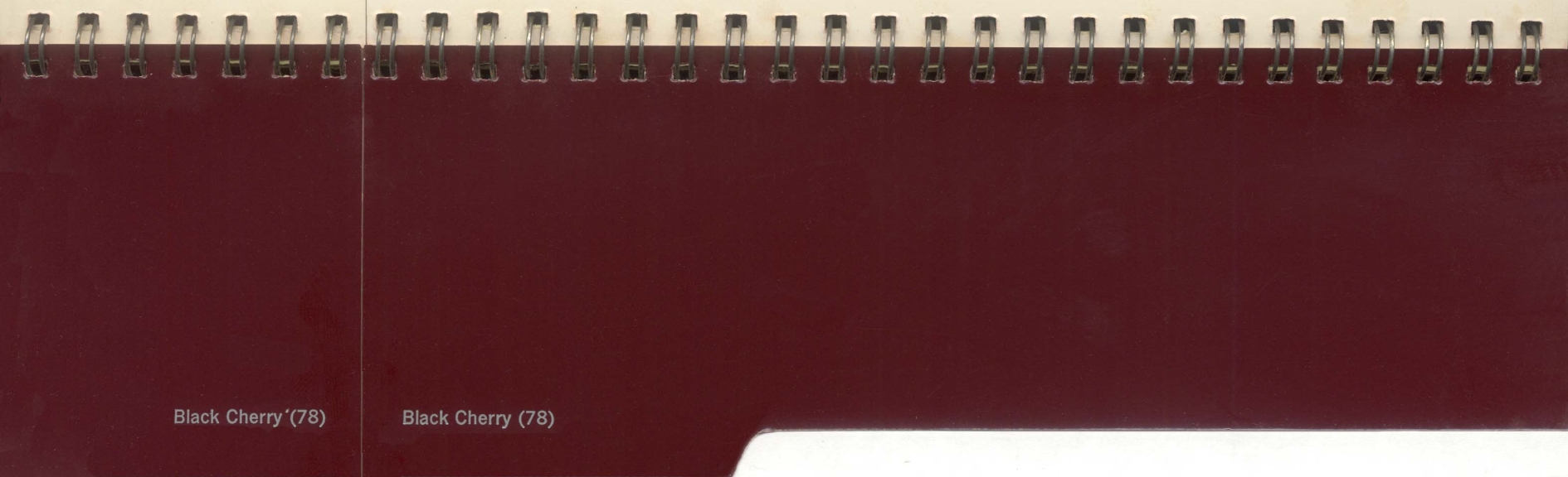 1970_Chevrolet_Dealer_Album-Colors-13