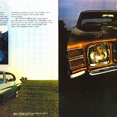 1971_Chevrolet_Chevelle_R1-08-09