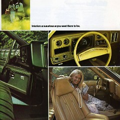 1974_Chevrolet_Monte_Carlo_Rev-09