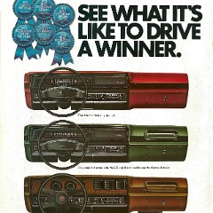 1974_Chevrolet_Vega-16