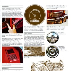 1975_Chevrolet_Monte_Carlo-11