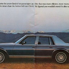1977_Chevrolet_Full_Size-04-05