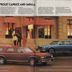 1978 Chevrolet Wagons Brochure 02-03