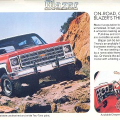 1979_Chevrolets-21