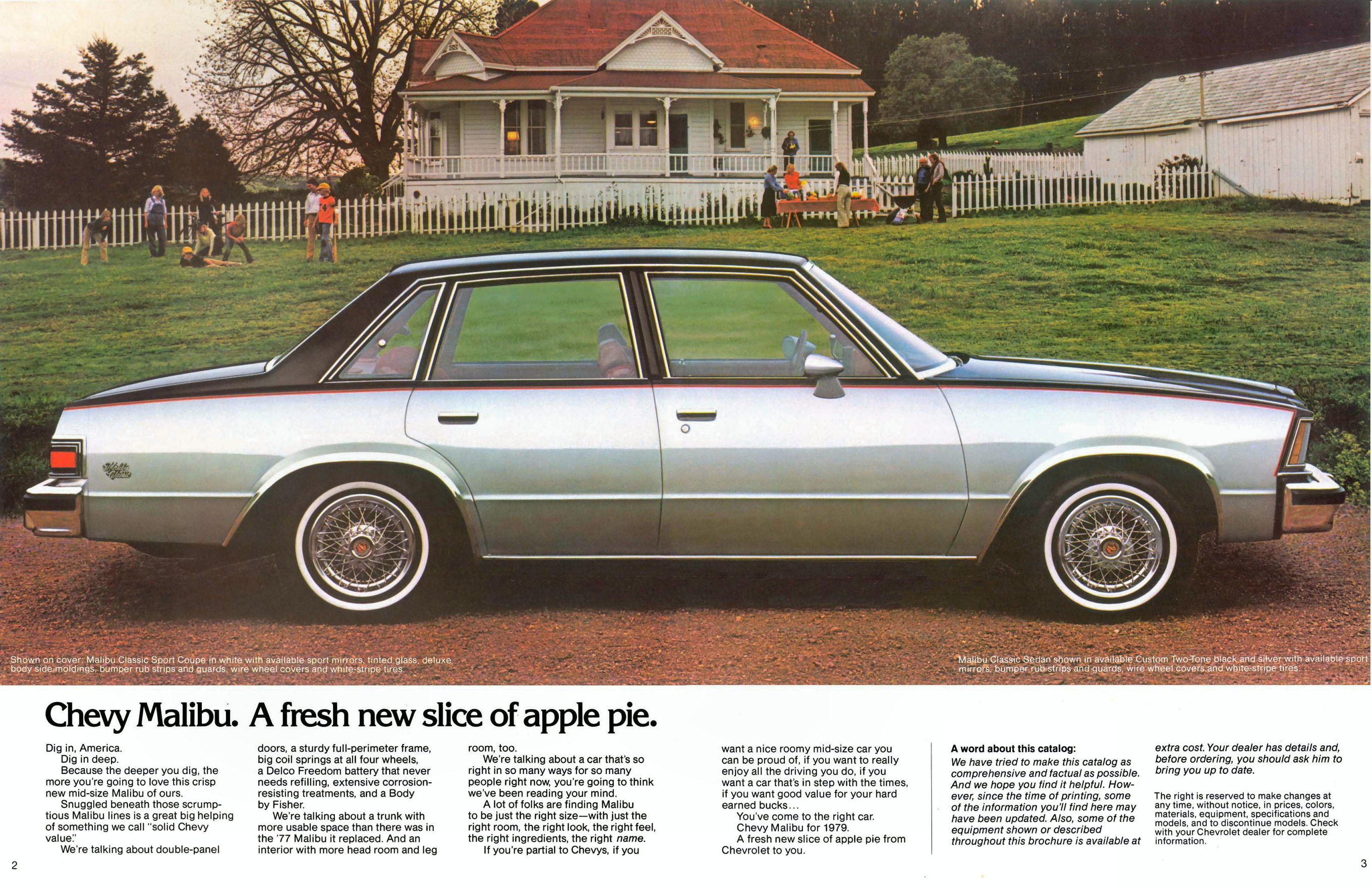1979_Chevrolet_Malibu-02-03
