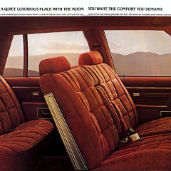 1980_Chevrolet_Caprice_Classic-05