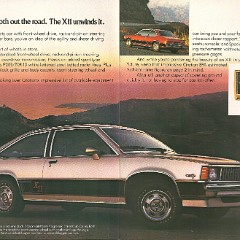 1980_Chevrolet_Citation-10-11