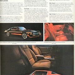 1980_Chevrolet_Full_Line-12-13