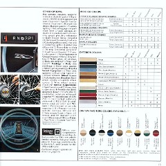 1981_Chevrolet_Full_Size-12