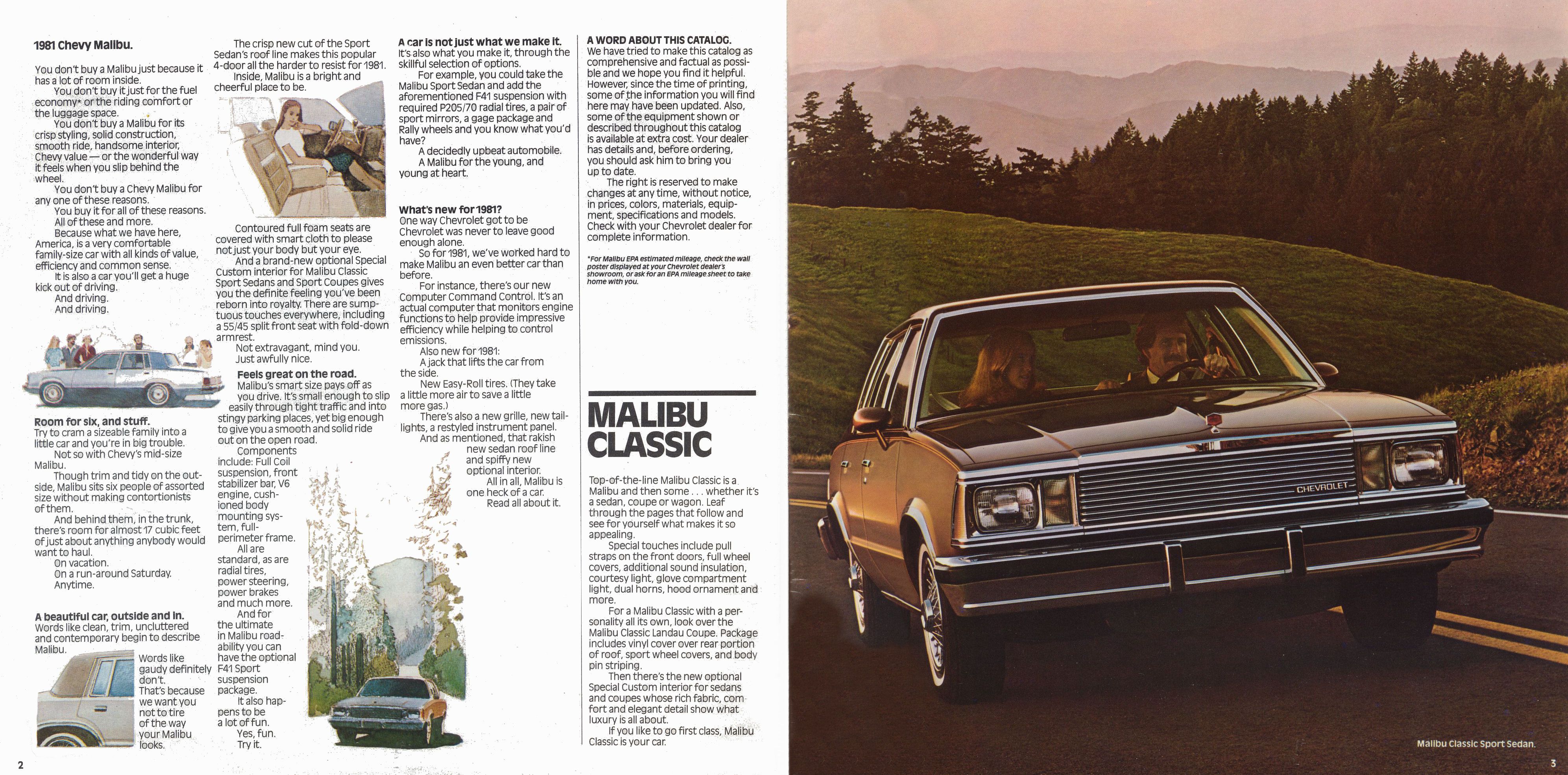1981_Chevrolet_Malibu-02-03