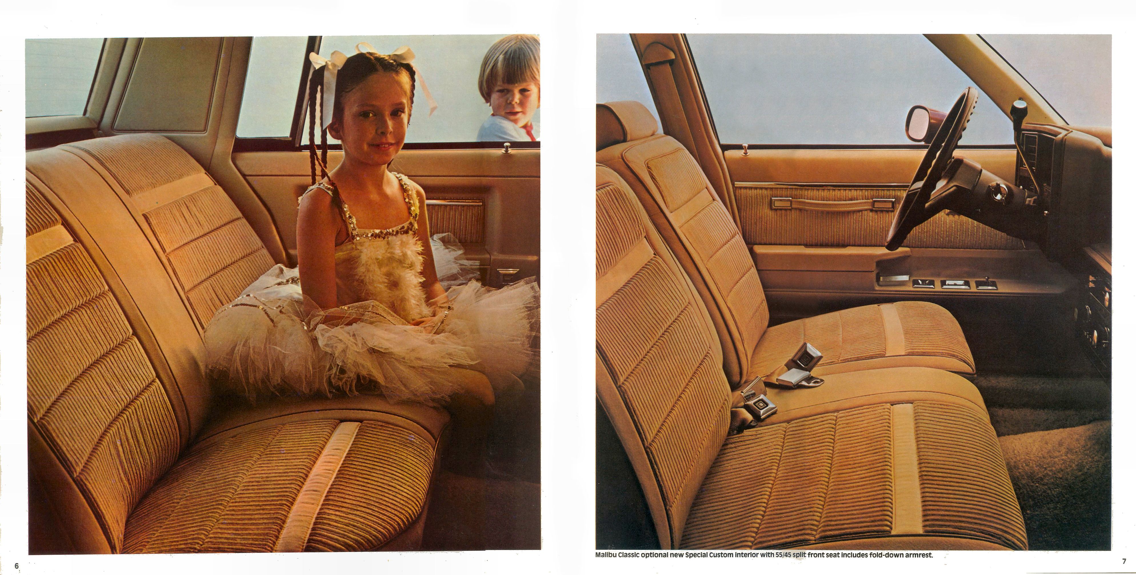 1981_Chevrolet_Malibu-06-07