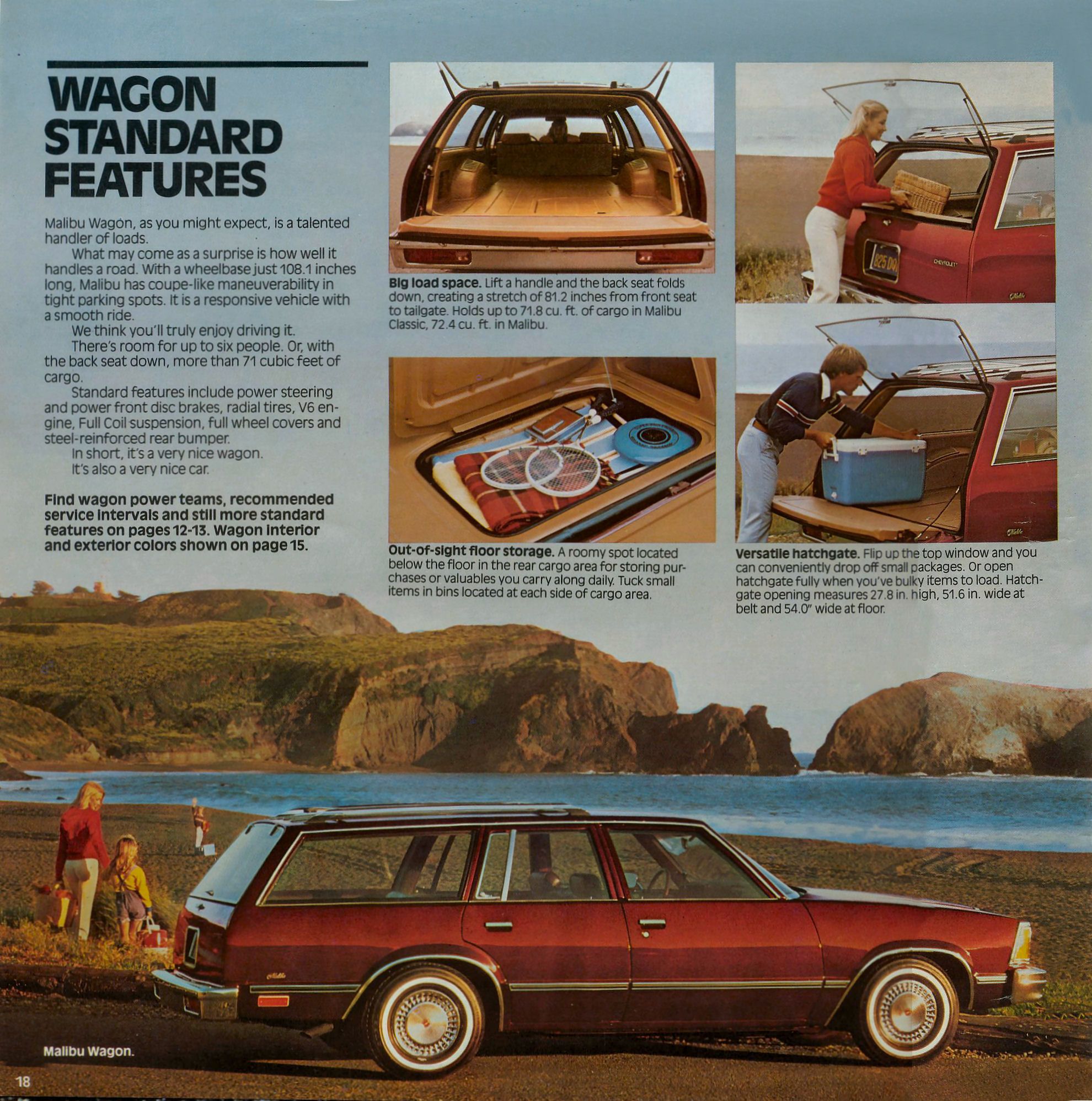 1981_Chevrolet_Malibu-18