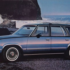 1981_Chevrolet_Malibu-16-17