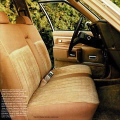 1982 Chevy Wagons 07-81 Page 13