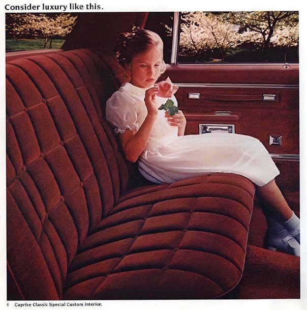 1982_Chevrolet_Full_Size-06