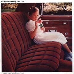 1982_Chevrolet_Full_Size-06