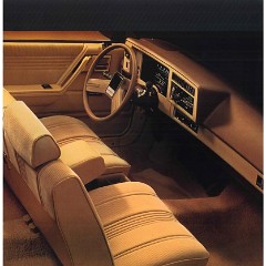 1985_Chevrolet_Citation_II-07