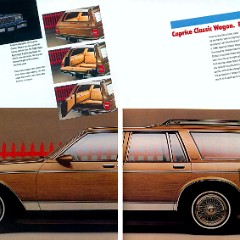 1986_Chevrolet_Caprice-12-13