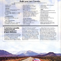1979_Chevrolet_Corvette-05