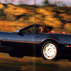 1995_Chevrolet_Corvette_Prestige-08-09