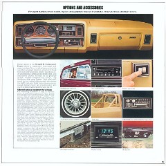 1981_Dodge_Pickups-12