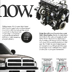 2001 Dodge Ram Pickup-23