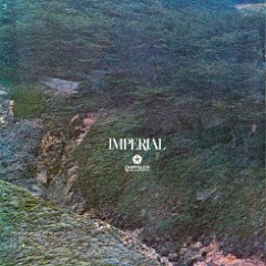 1969 Imperial-09