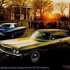 1973 Chrysler-Plymouth Brochure-19