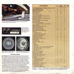 1977 Chrysler Brochure-11