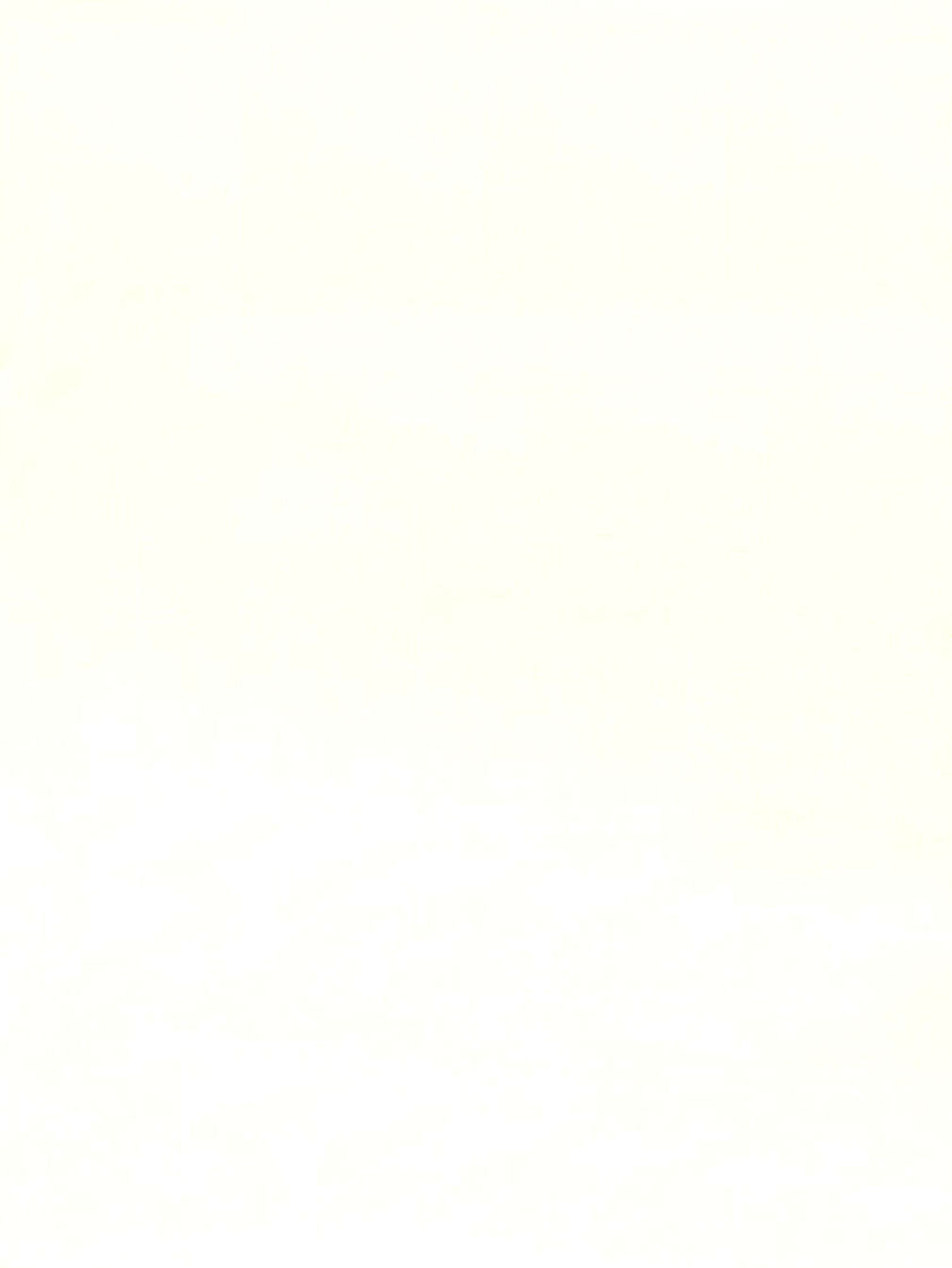 1937_Cord-04
