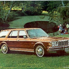 1978_Dodge_Diplomat-a08