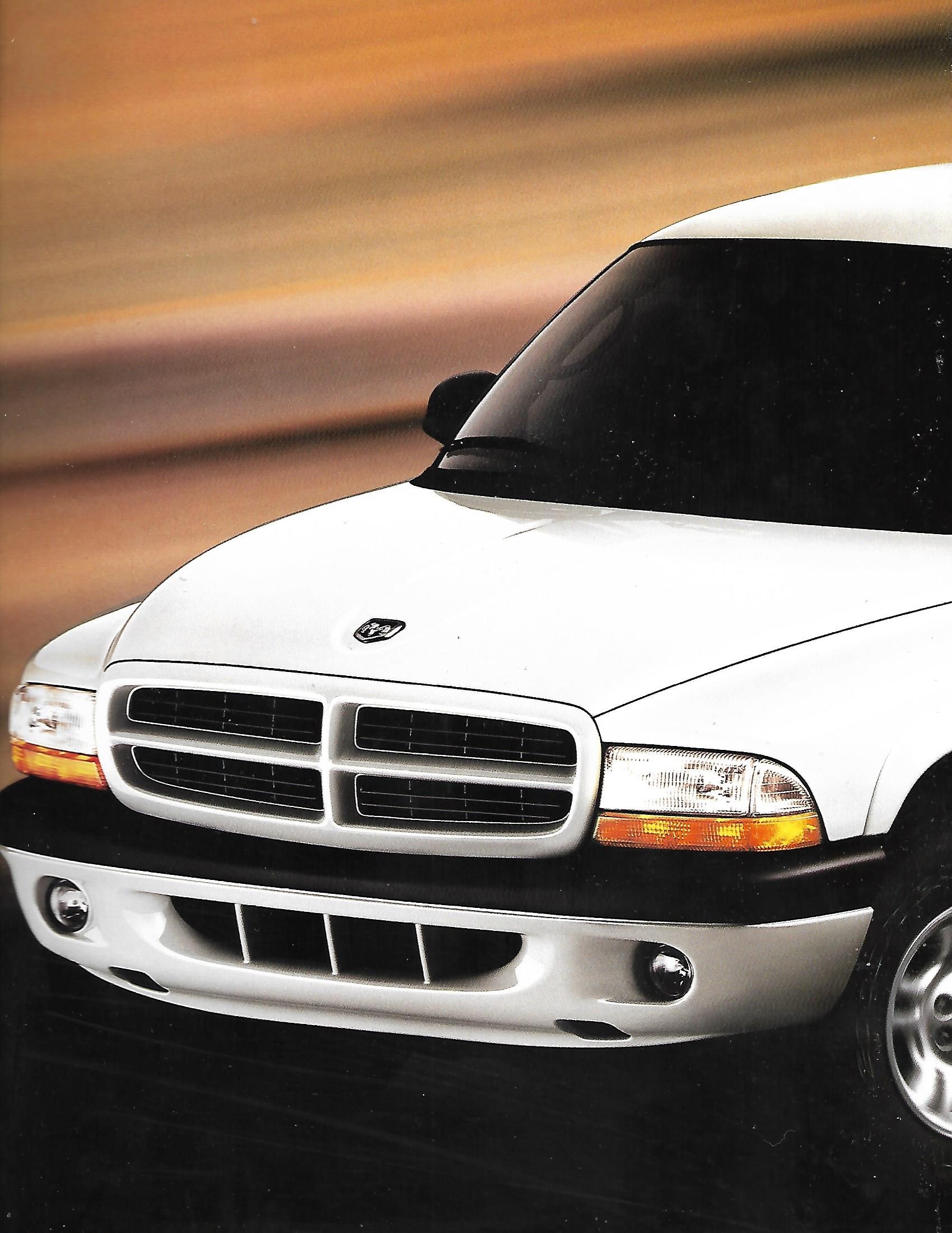 2001 Dodge Dakota-14