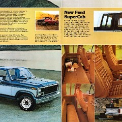 1980_Ford_Pickup-10-11