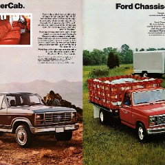 1982_Ford_Pickup-10-11