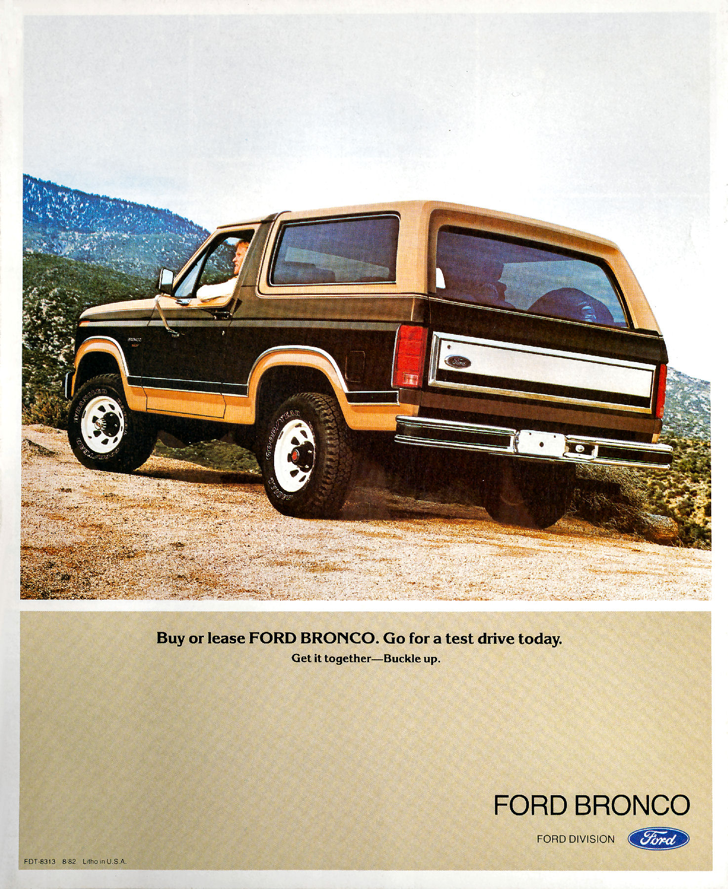 1983 Ford Bronco-10
