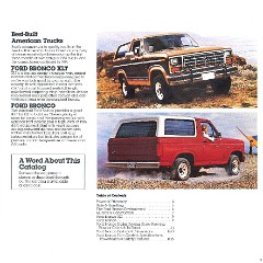 1984 Ford Bronco-03