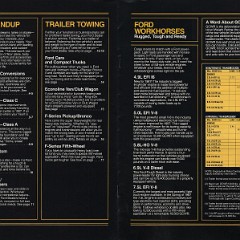 1987_Ford_Recreation_Vehicle-02-03