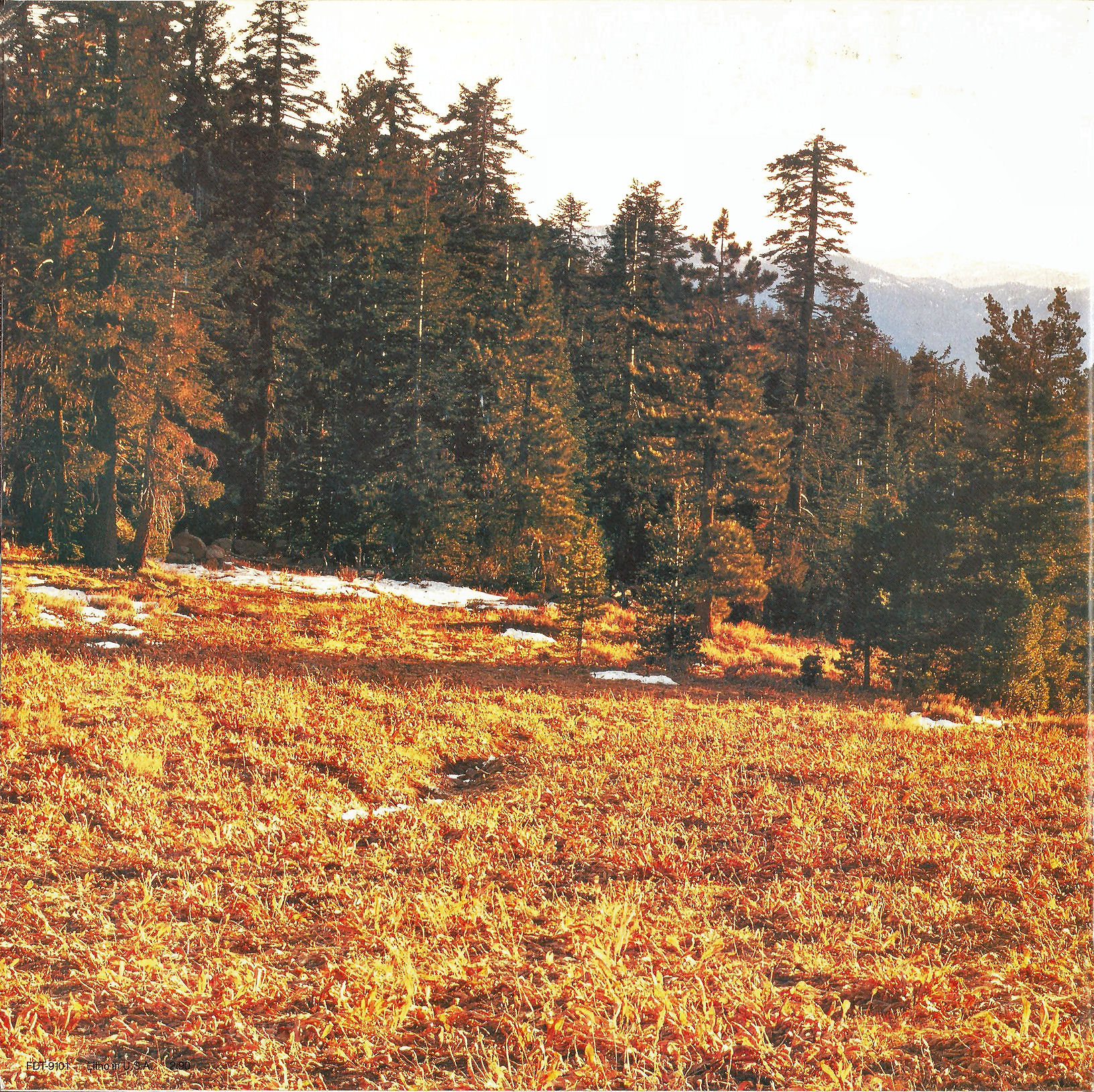 1991_Ford_Explorer-28