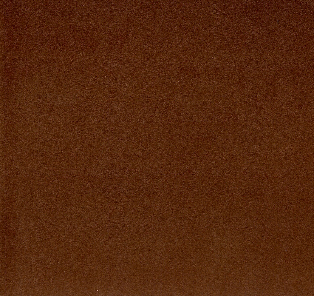1906_Ford_Full_Line-25